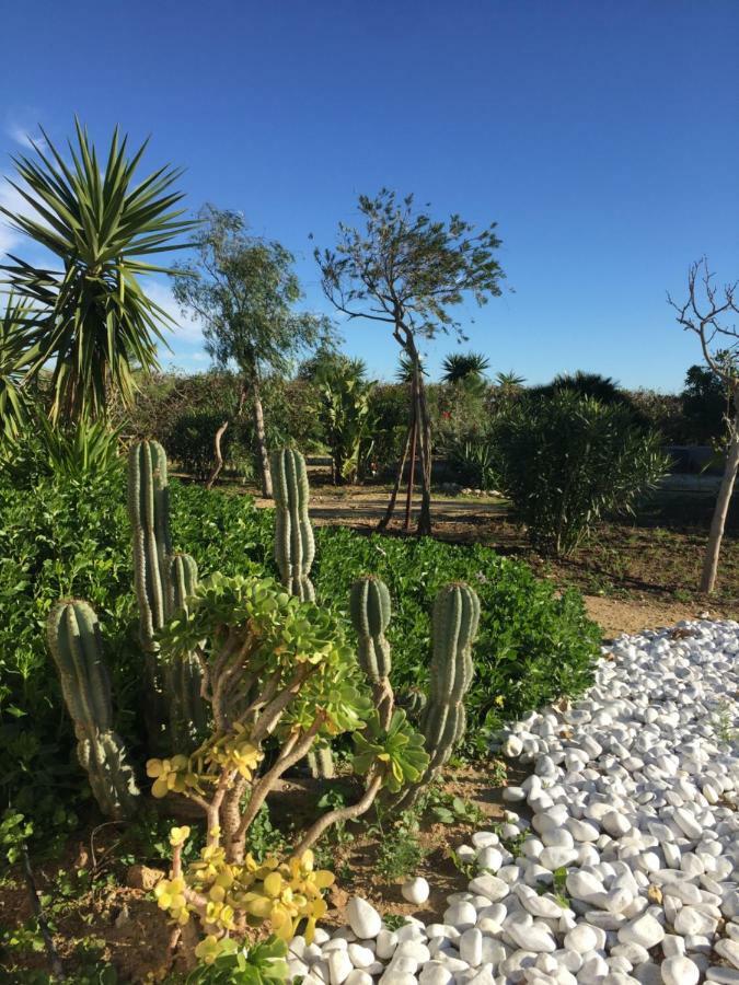 Finca Du Ressourcement Higueron Apartment Vejer de la Frontera Ngoại thất bức ảnh
