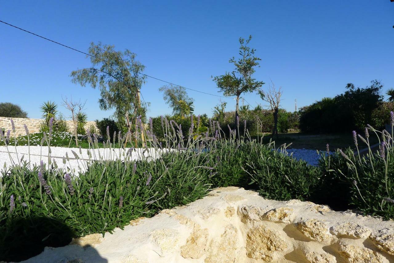 Finca Du Ressourcement Higueron Apartment Vejer de la Frontera Ngoại thất bức ảnh