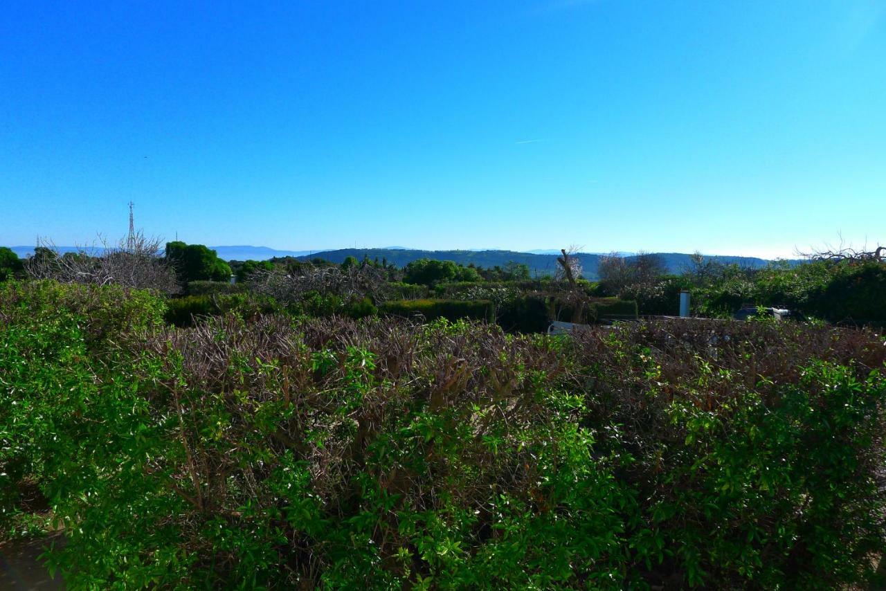 Finca Du Ressourcement Higueron Apartment Vejer de la Frontera Ngoại thất bức ảnh