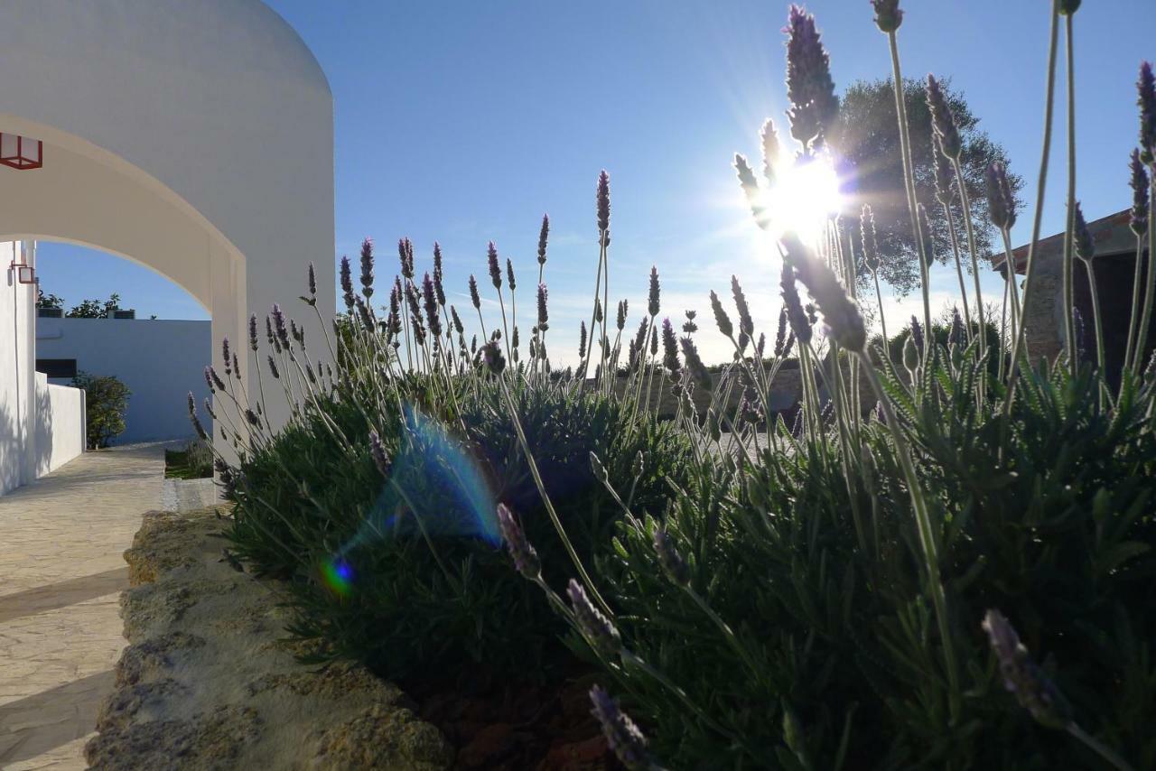 Finca Du Ressourcement Higueron Apartment Vejer de la Frontera Ngoại thất bức ảnh