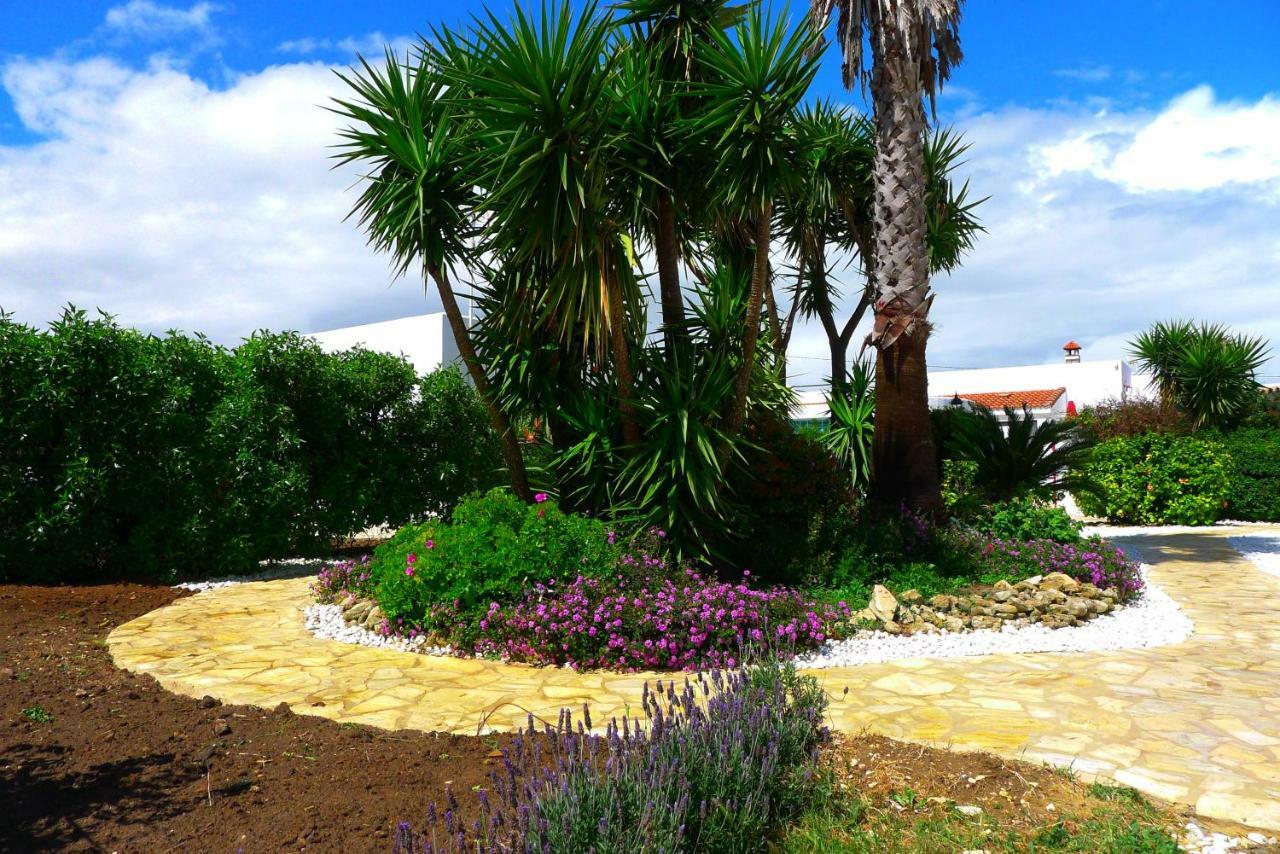 Finca Du Ressourcement Higueron Apartment Vejer de la Frontera Ngoại thất bức ảnh