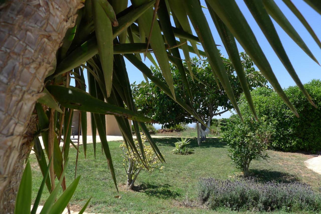 Finca Du Ressourcement Higueron Apartment Vejer de la Frontera Ngoại thất bức ảnh