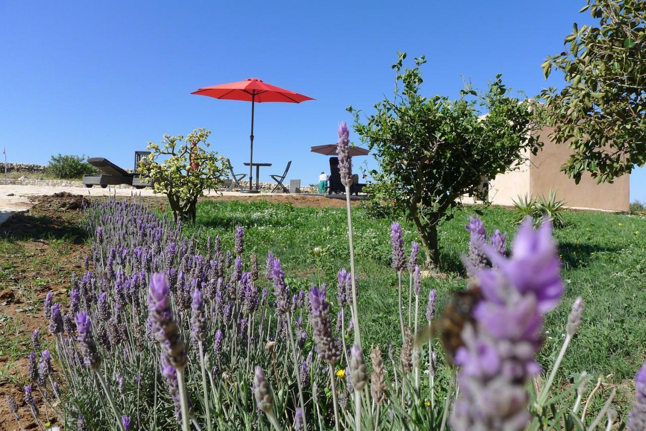 Finca Du Ressourcement Higueron Apartment Vejer de la Frontera Ngoại thất bức ảnh